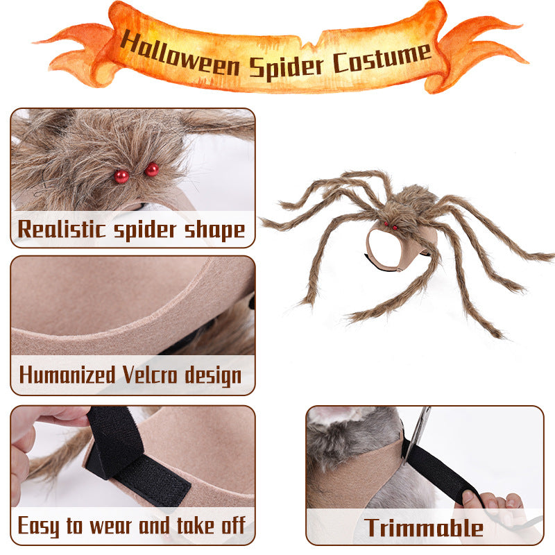 Halloween pet clothes big spider transforms into dog clothes